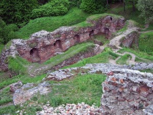 Zamek na górze Marcina w Tarnowie