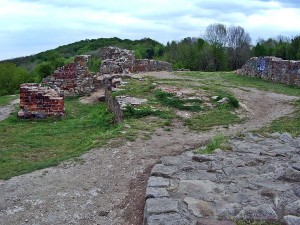 Ruiny zamku w Tarnowie