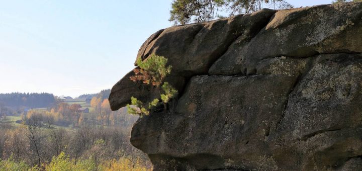 Skałka Czarownica - Skamieniałe Miasto