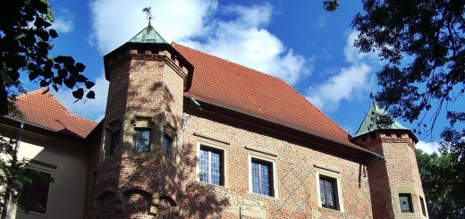 Zamek w Dębnie