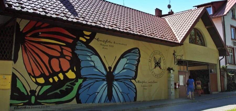 Muzeum motyli - Bochnia