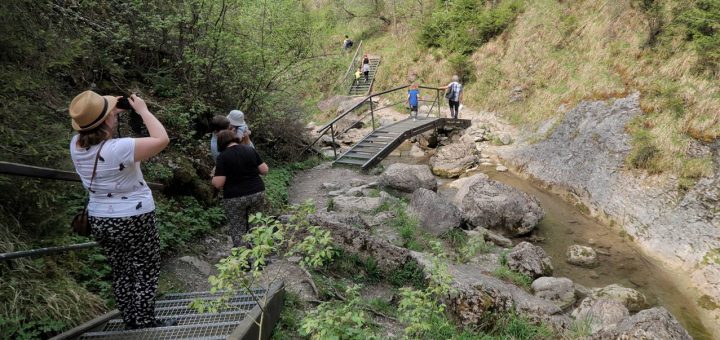 Pieniny - rezerwat przyrody Wąwóz Homole