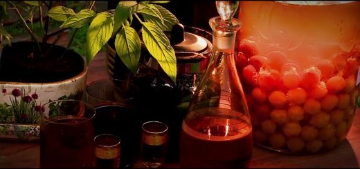 Małopolska i zielarstwo - zioła