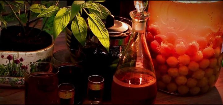 Małopolska i zielarstwo - zioła