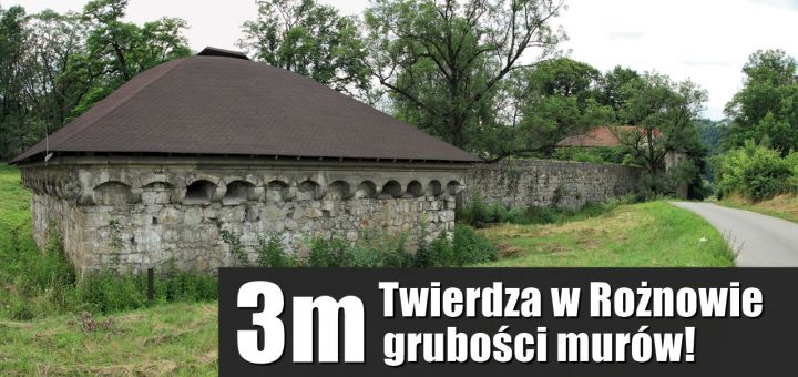 Dolny zamek w Rożnowie