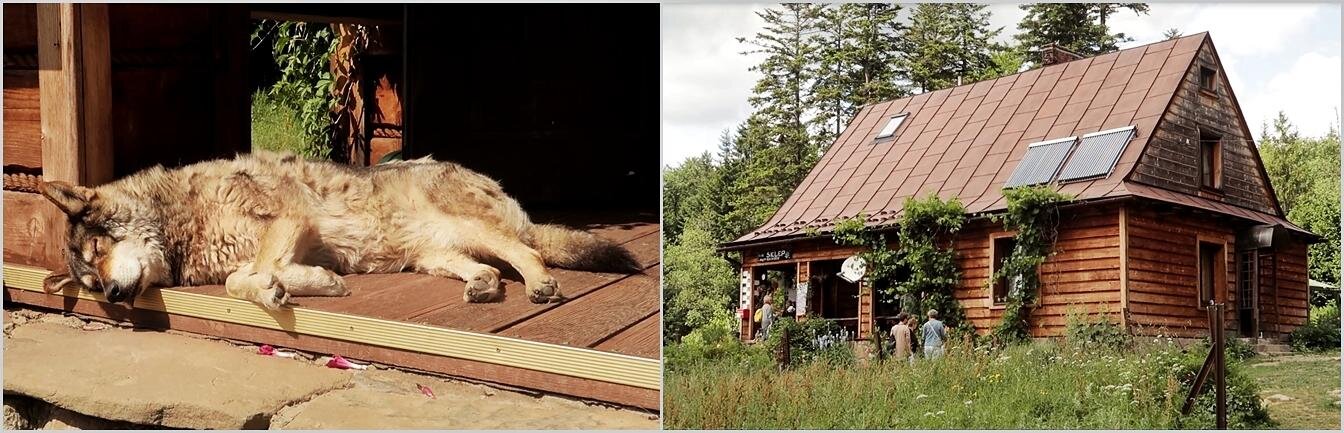 Przystanek Balnica - Bieszczady
